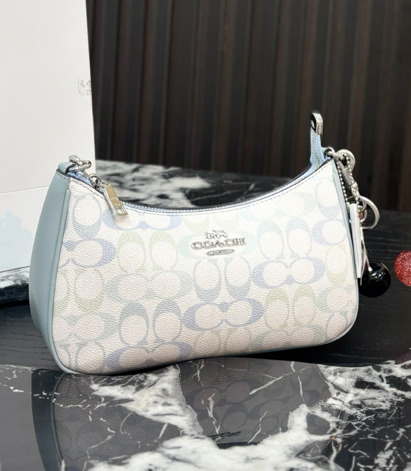 The Coach Teri Shoulder Bag